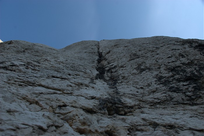Dupa biskupa